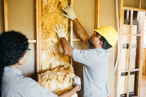  , USA Insulation Installation & Removal Pros